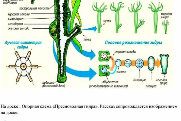 Кракен ссылка что это