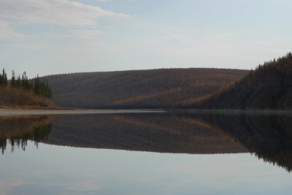 Кракен перейти