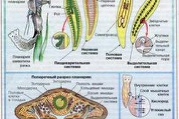 Кракен маркетплейс официальный сайт