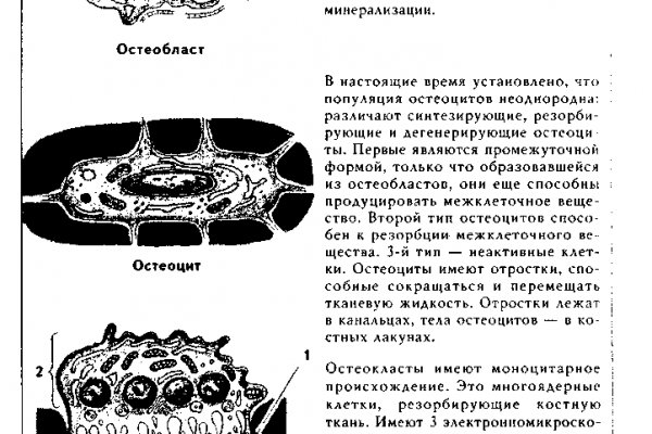 Как восстановить страницу на кракене